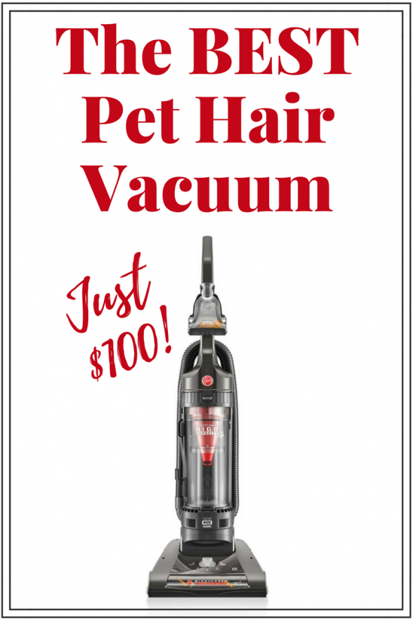 BEST pet hair vacuum for carpet. Just $100