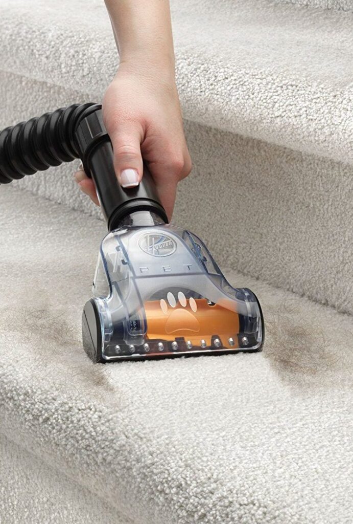 Best Pet Hair Vacuum for Carpet and Upholstery