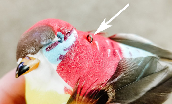 Eye Pin on Bird | DIY Baby Mobile