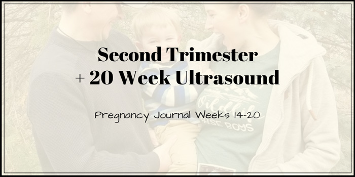 second trimester pregnancy 20 week ultrasound 14-20