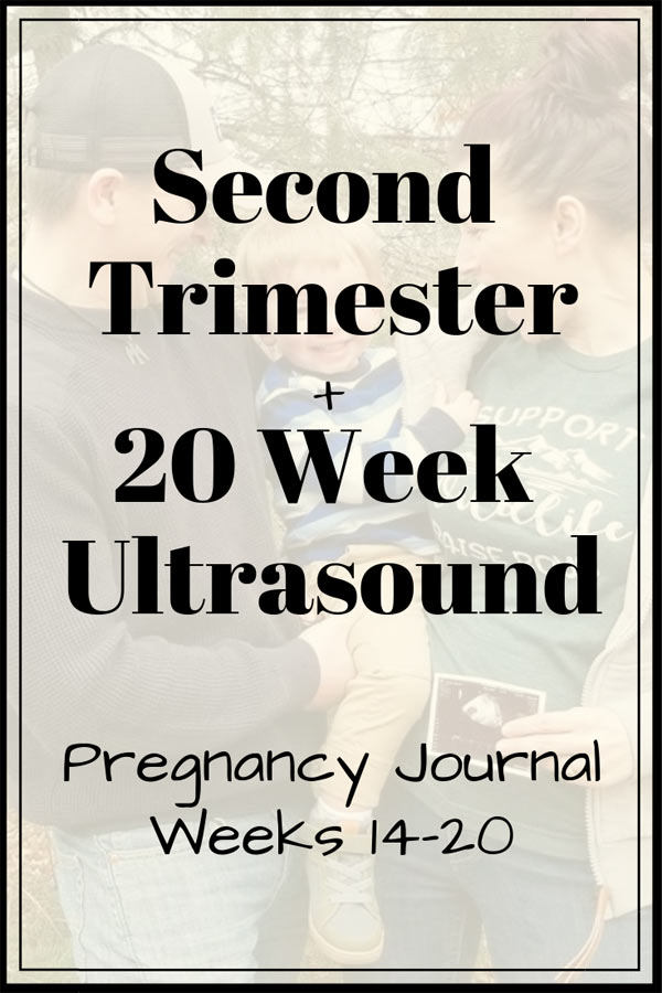 second trimester pregnancy 20 week ultrasound 14-20