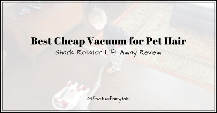 Best Cheap Vacuum for Pet Hair
